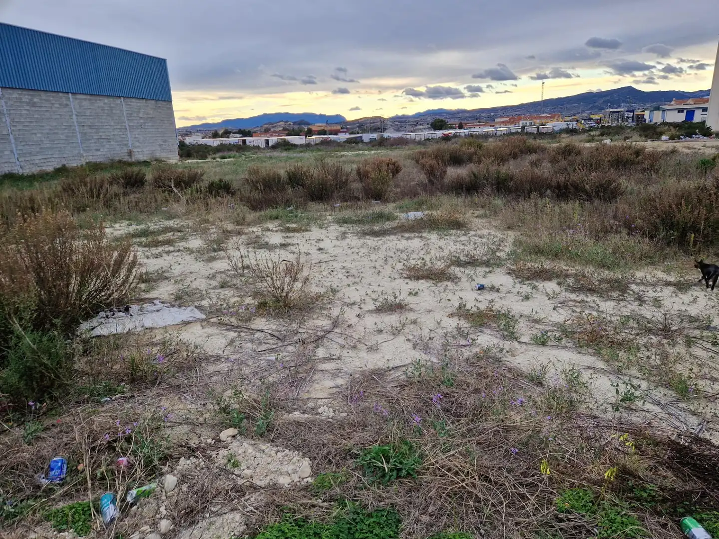 Terreny industrial en venda a Archena, imagen 3