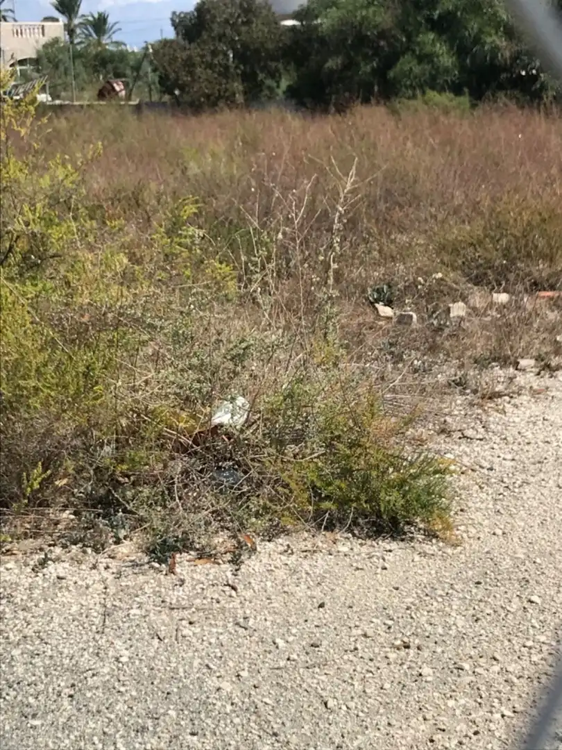 Terreno residencial en venta en La Foia - Daimés - Asprella, imagen 10