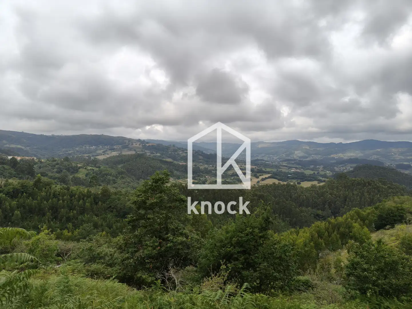 Terreno rustico in vendita a Villaviciosa - Celada, imagen 20