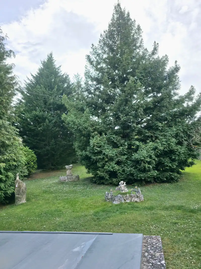 Casa o xalet en venda en Pomar de Valdivia amb Calefacció, Jardí privat i Terrassa
