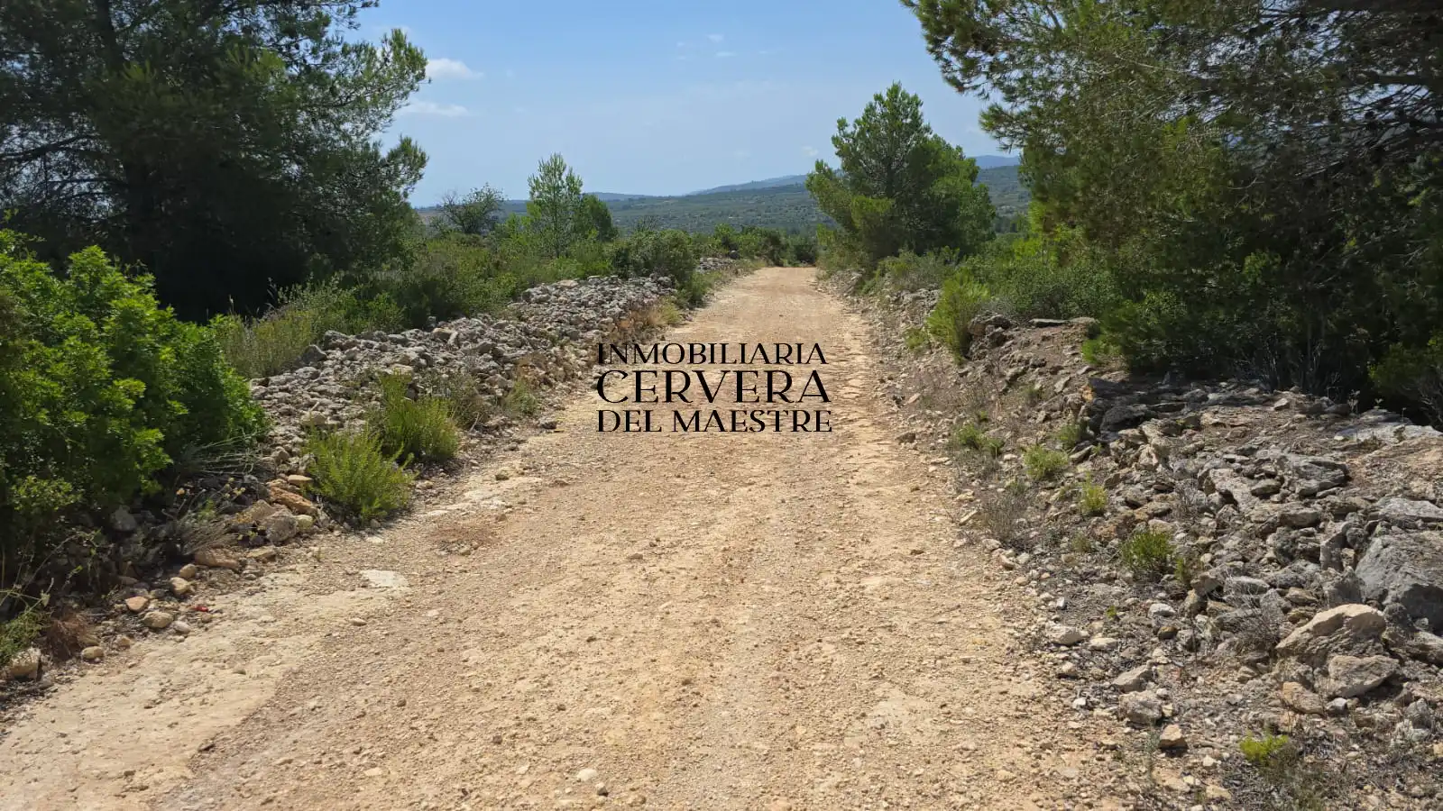 Rural land for sale in Cervera del Maestre, imagen 4