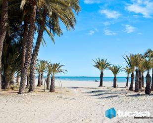 Vista exterior de Apartament en venda en Santa Pola amb Terrassa, Traster i Moblat