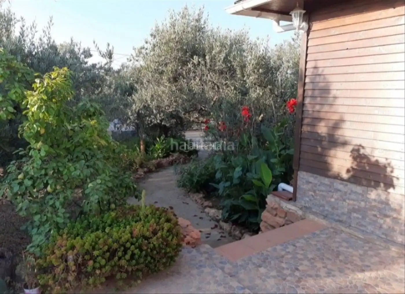 Appartement à vendre à Carrer Pintor Ferrer 1, imagen 15