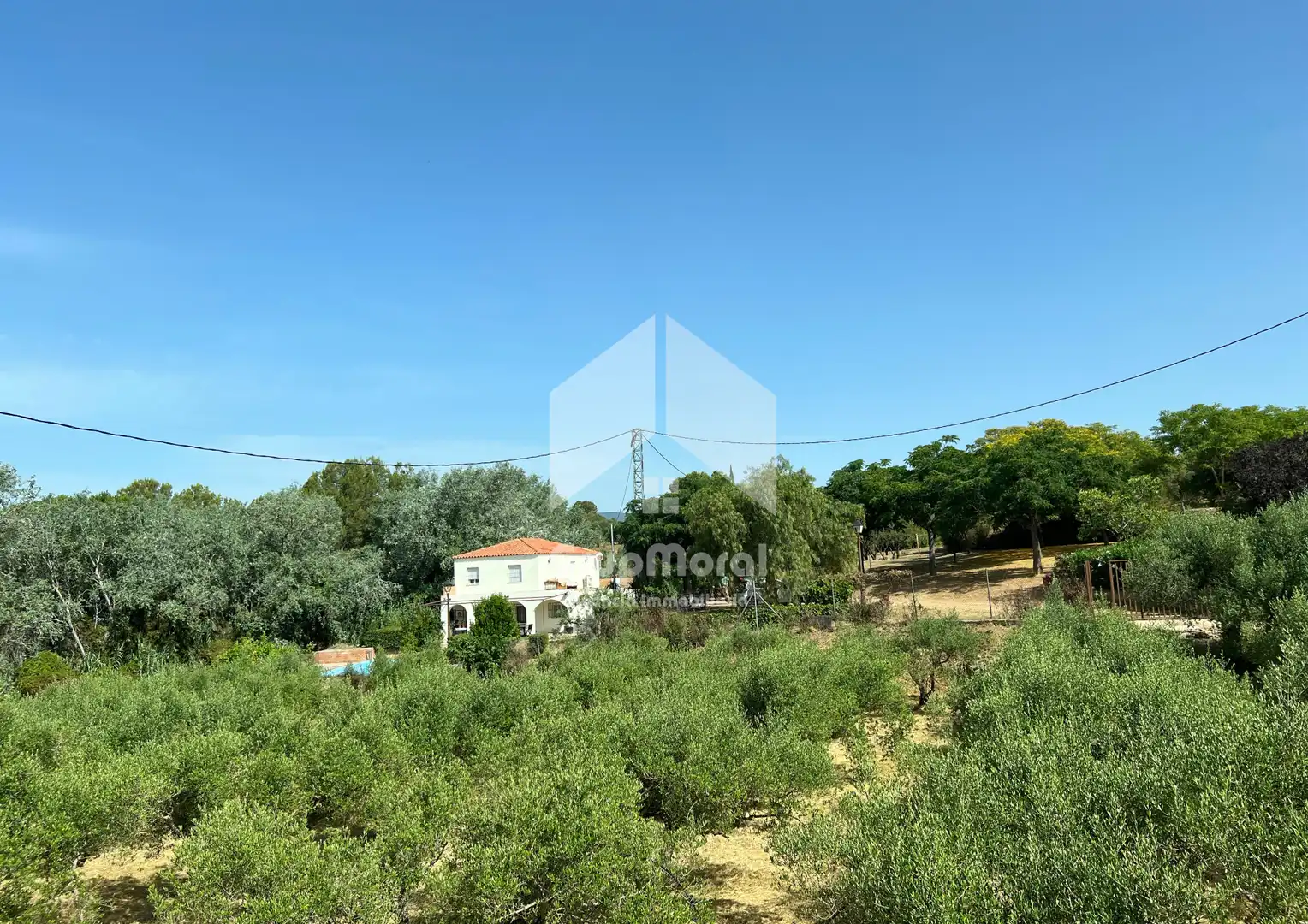 Casa amb piscina en venda a Camí de les Oliveres, imagen 6