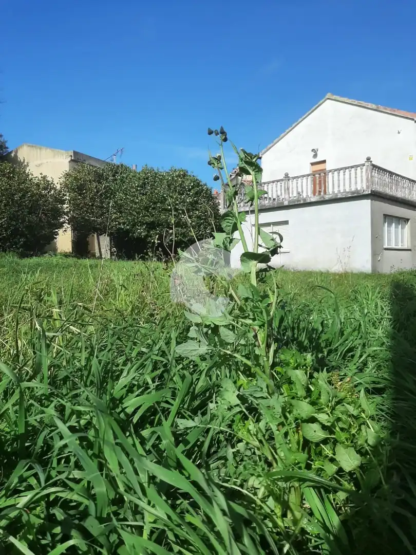 Grundstücke und Bauplätze zum Verkauf in Portádego - Vilaboa Norte, imagen 8