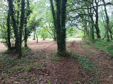 Terreno rustico in vendita a Avenida Galicia 101
