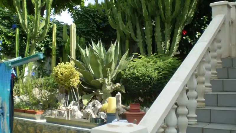 Garden of Houses for sale in L'Alfàs del Pi  with Air Conditioner, Heating and Private garden