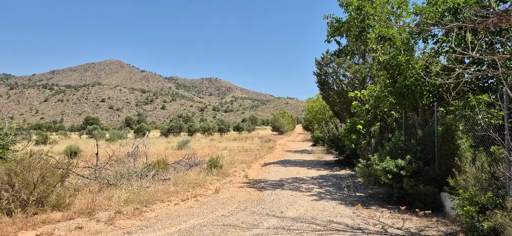 Terreno en venta en Hellín