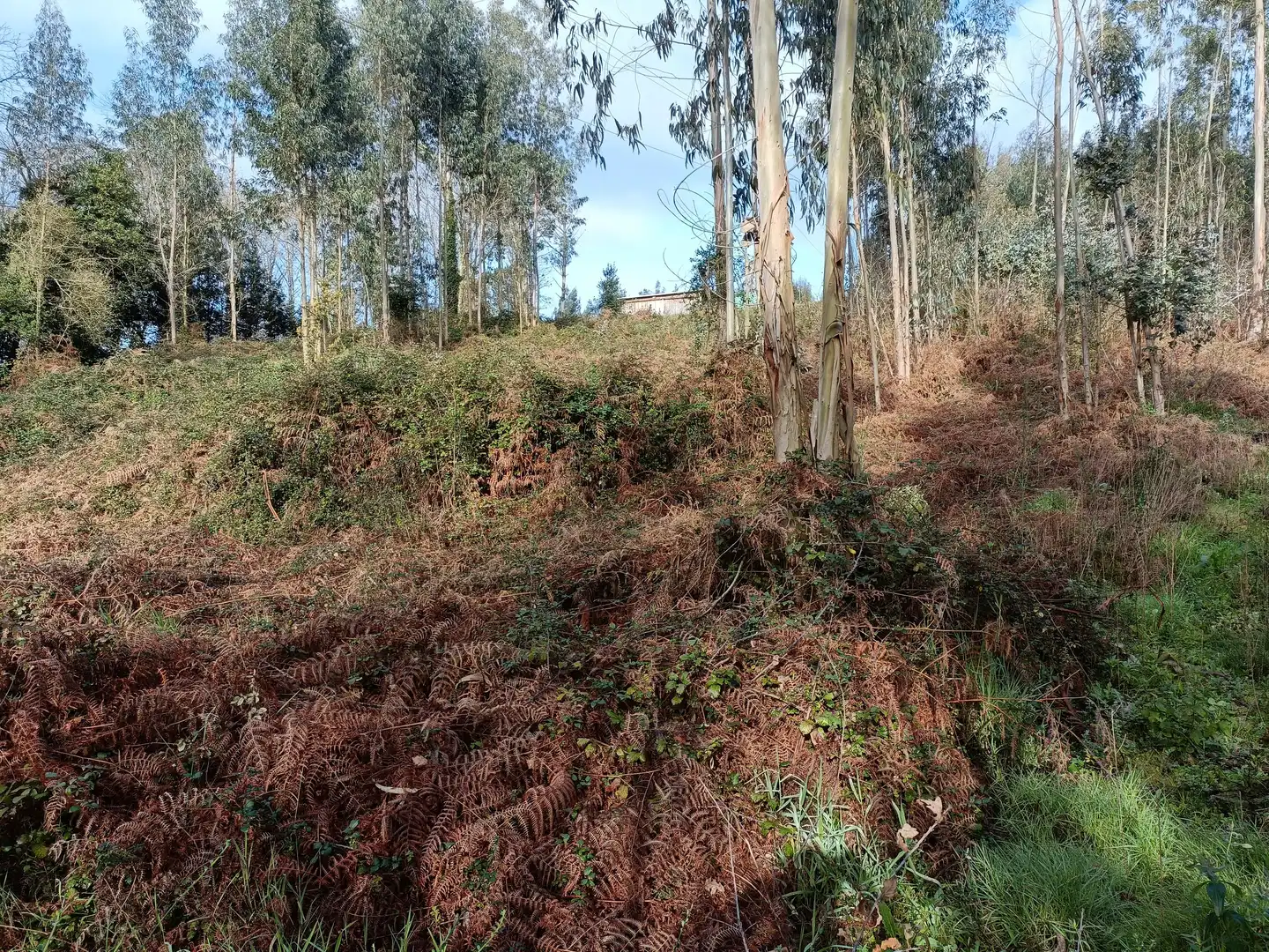 Terrain rustique à vendre à Oza dos Ríos, imagen 6