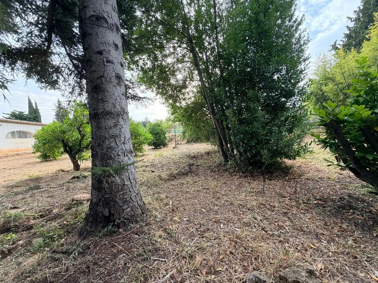 Villa avec piscine à vendre à Albaida, imagen 41