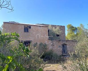 Land for sale in Planes, Rasquera