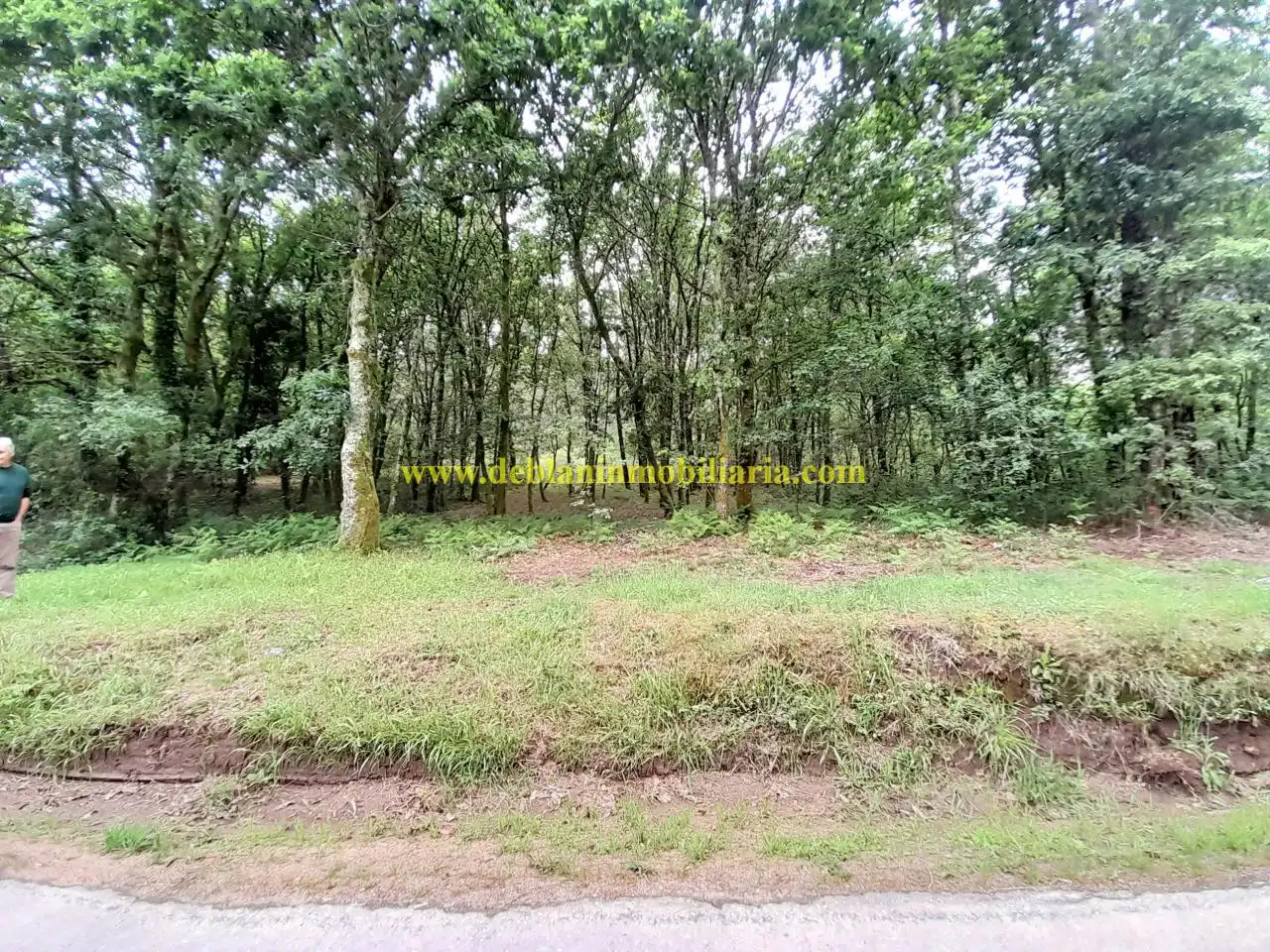 Terreno rústico en venta en Tui, imagen 2