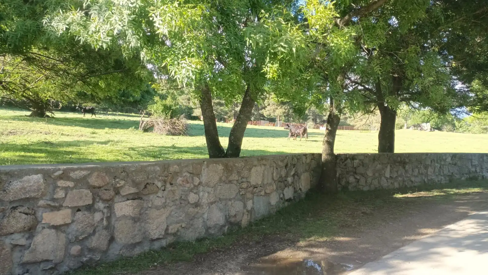 Terreny rústic en venda a Carretera de La Jarosa 1, imagen 10