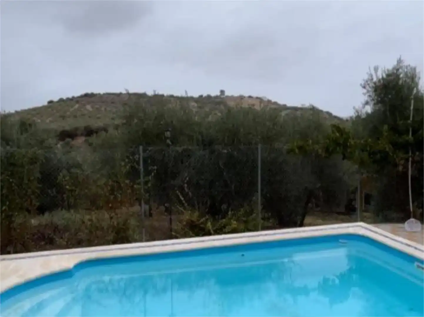 Piscina de Finca rústica en venda en Morón de la Frontera