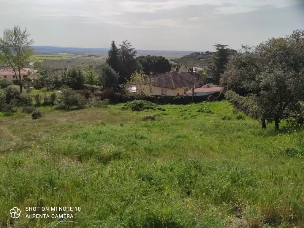 Terreny residencial en venda a Pino Alto - Navarredonda