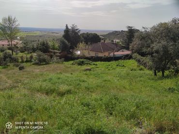 Terreno residencial en venta en Pino Alto - Navarredonda