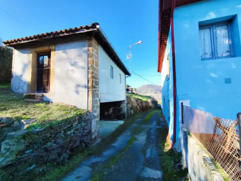 Vista exterior de Casa o chalet en venta en Salas con Trastero y Amueblado