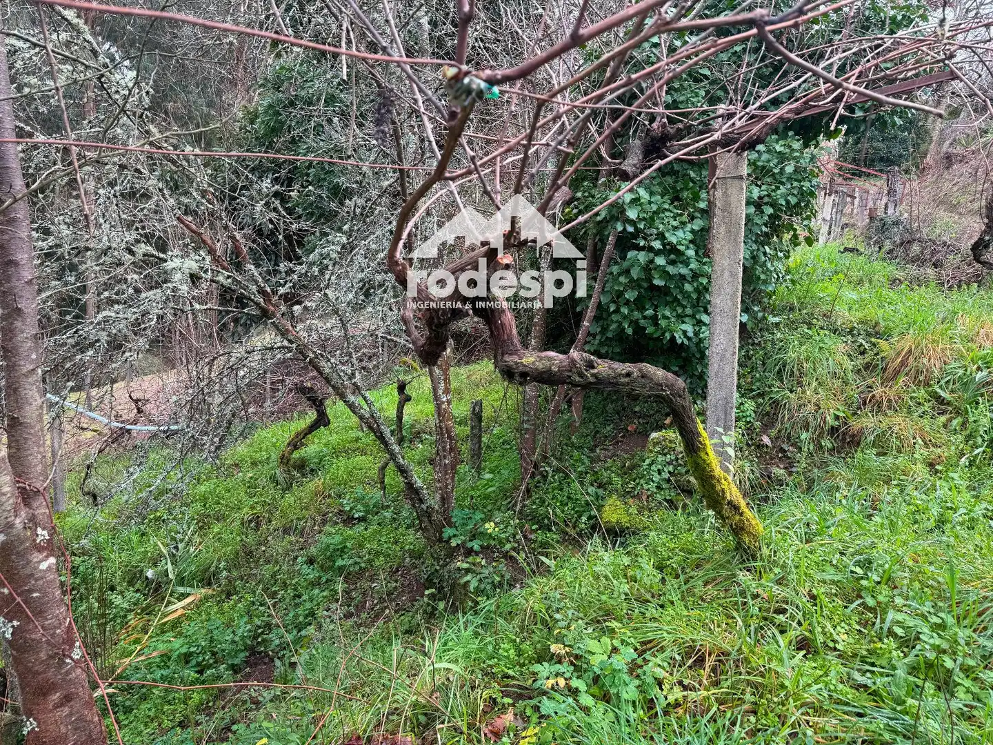Casa o chalet en venta en Arbo