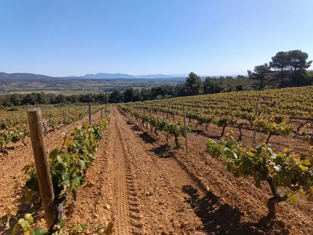 Rustikales Grundstück zum Verkauf in Sant Julià, imagen 3
