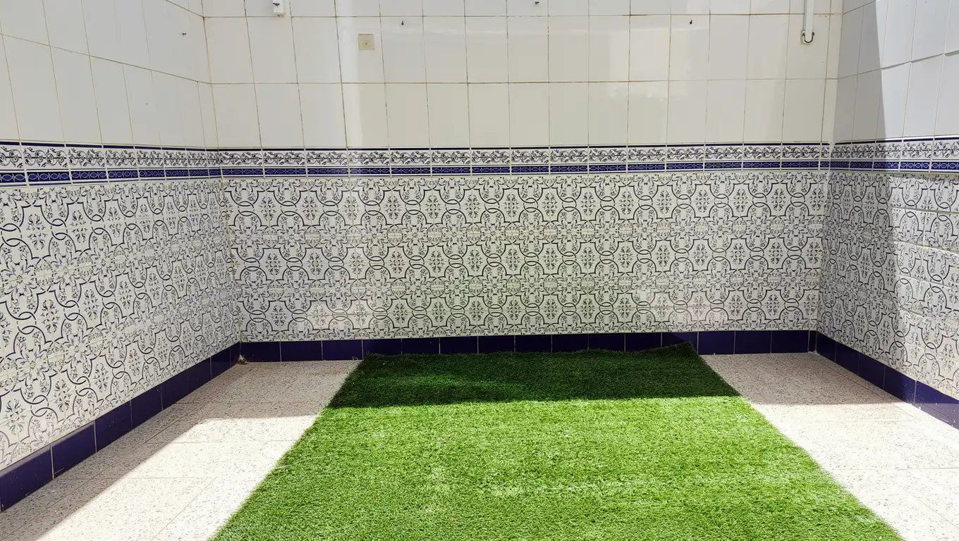 Jardí de Casa o xalet en venda en Los Alcázares