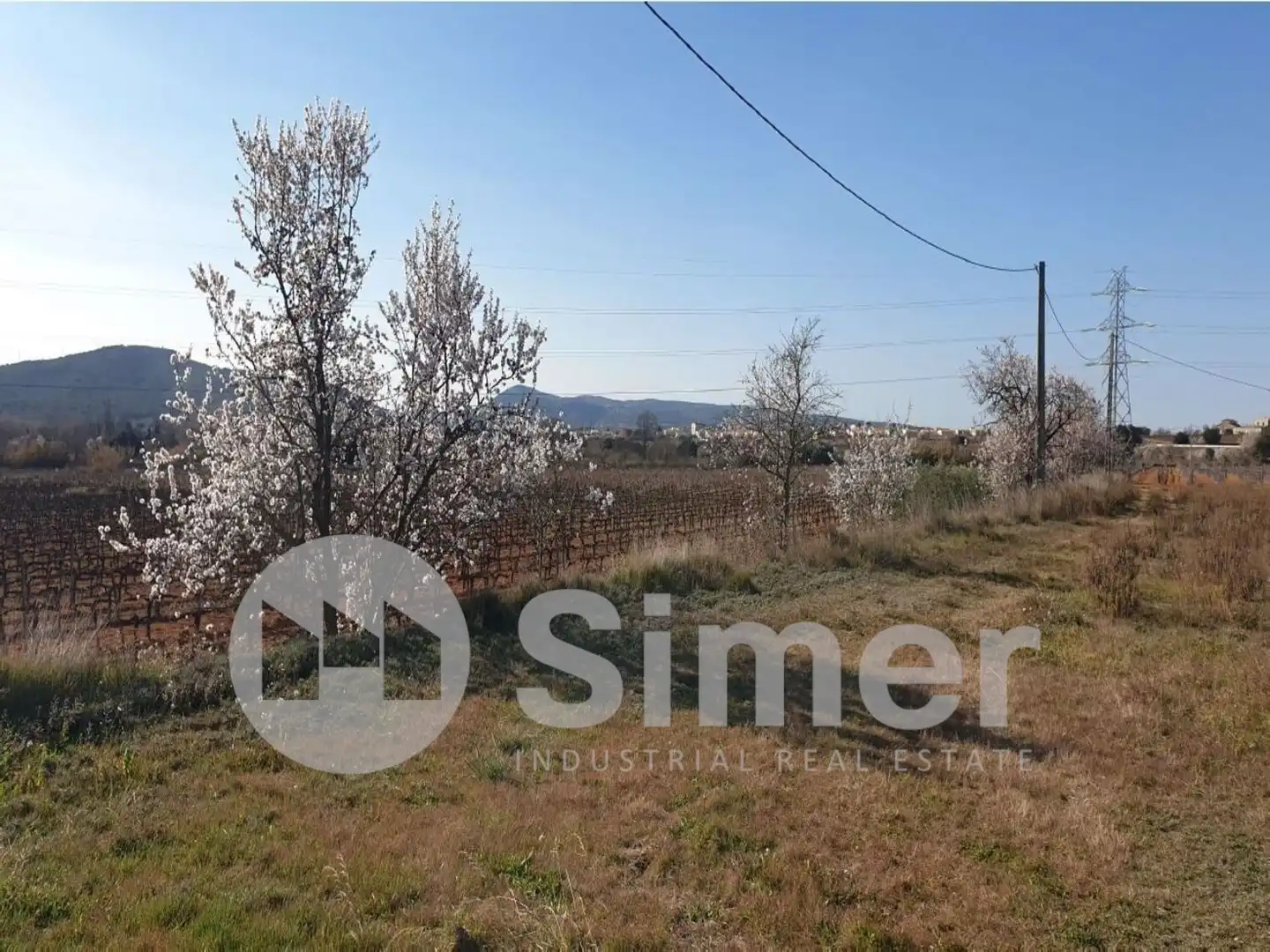 Industrial land for sale in Sant Cugat Sesgarrigues