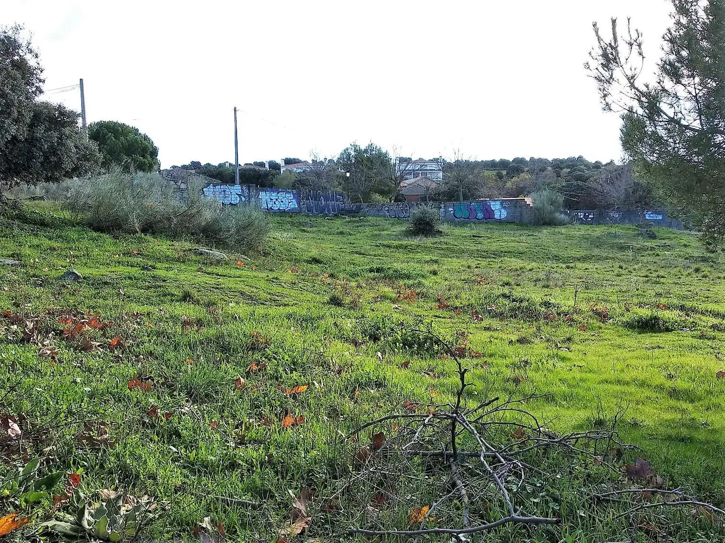 Terreni e lotti in vendita a Fresnedillas de la Oliva