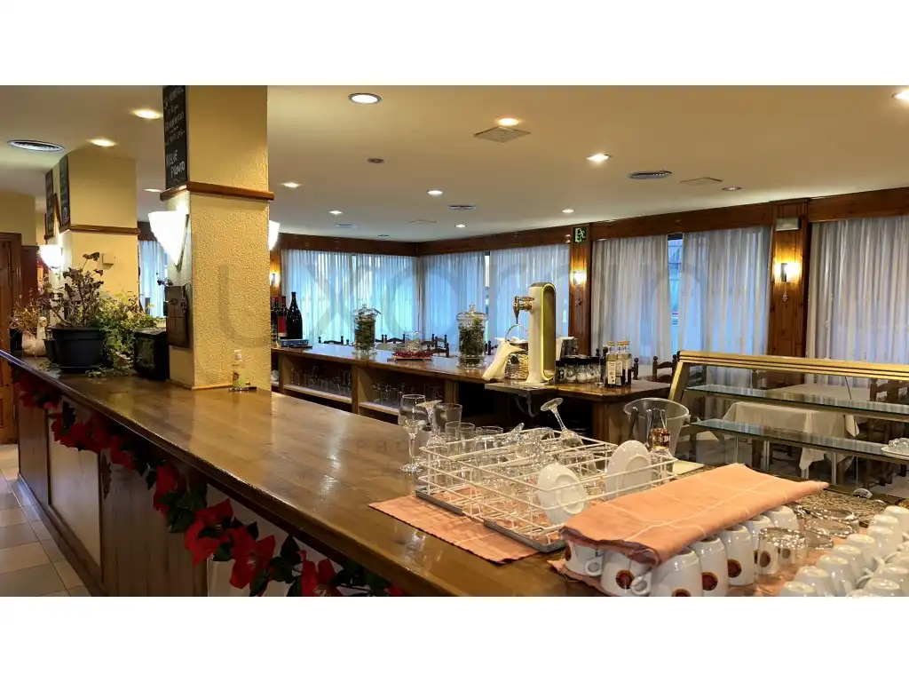 Commercial properties for sale in Bossòst