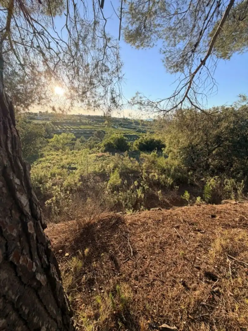 Terreny residencial en venda a El Juncal - Vallealto, imagen 8