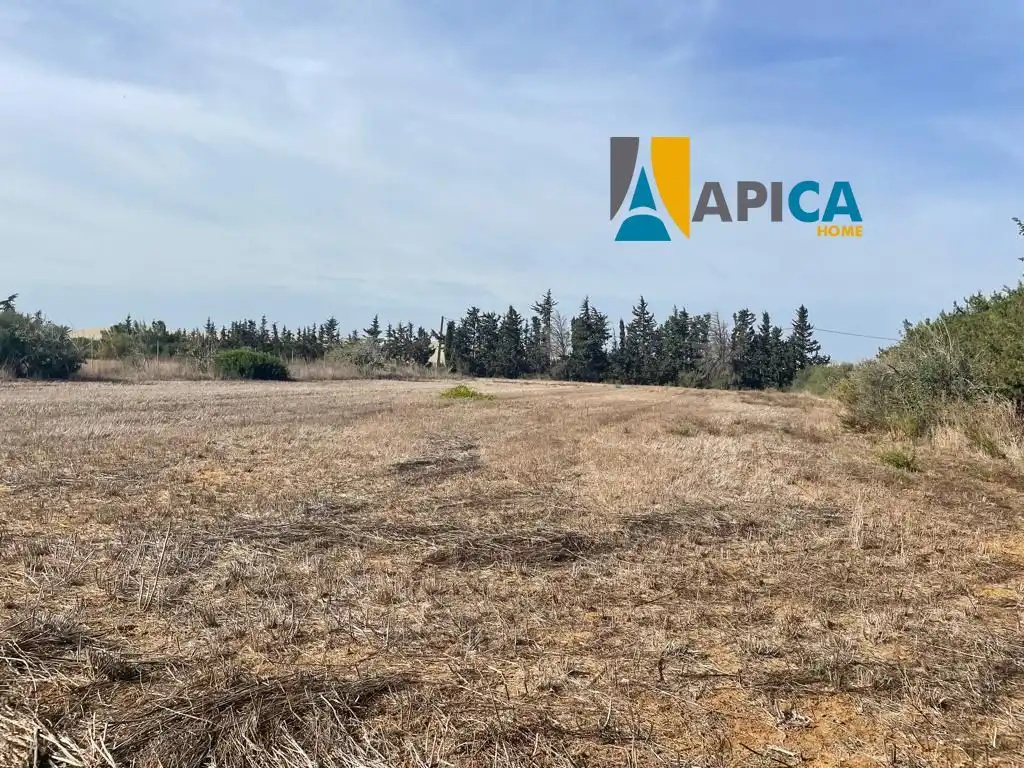 Houses for sale in Roche