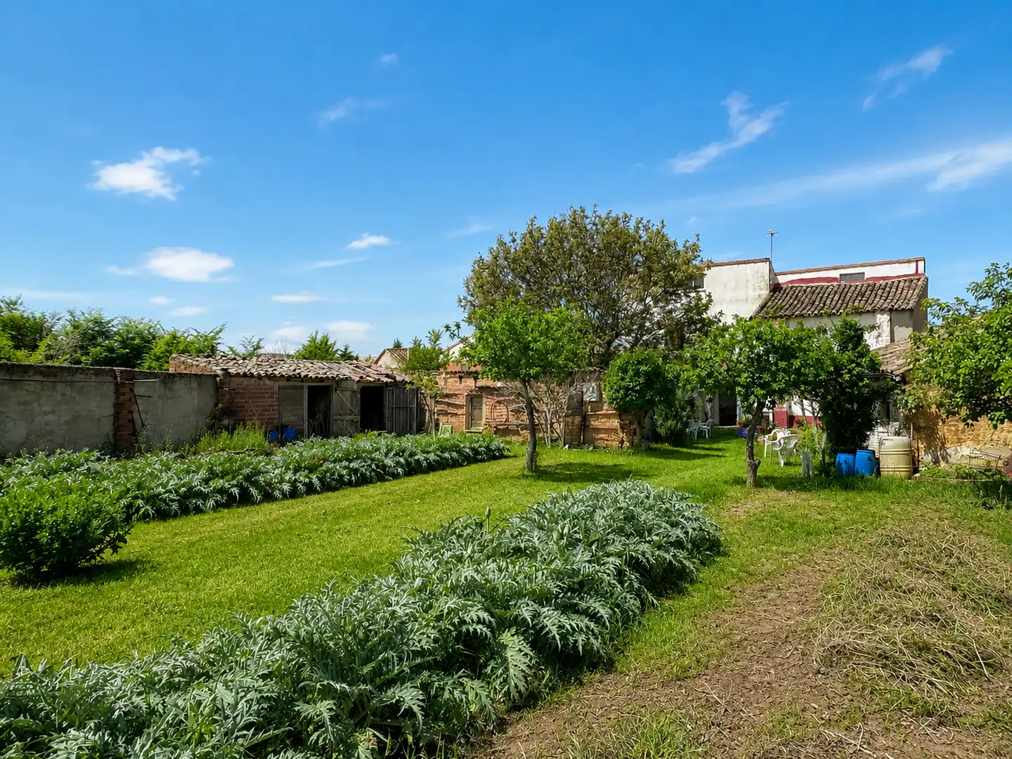 Jardín de Casa o chalet en venta en Padilla de Abajo con Jardín privado y Trastero