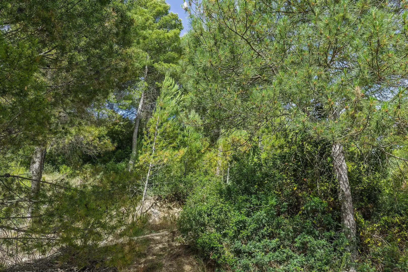 Finca rústica en venta en Moratalla con Piscina