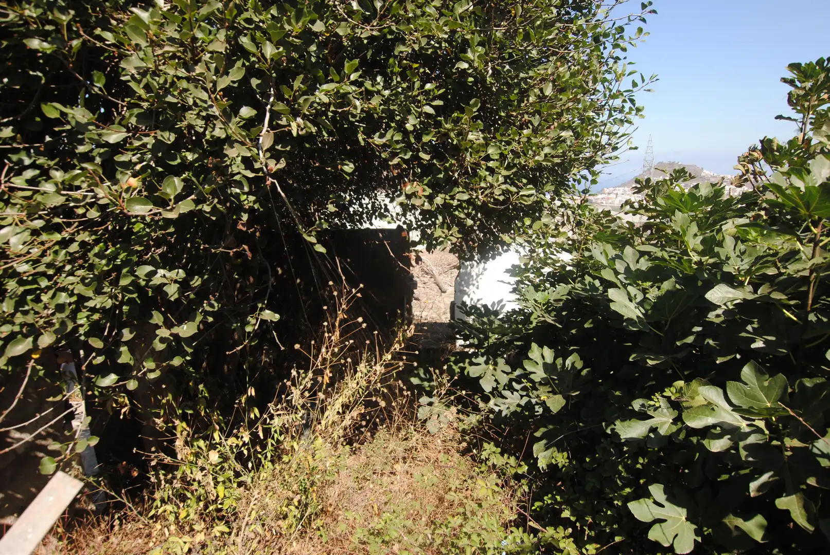 Casa o xalet en venda a Calle Gumidafe, 5, Los Portales - Visvique
