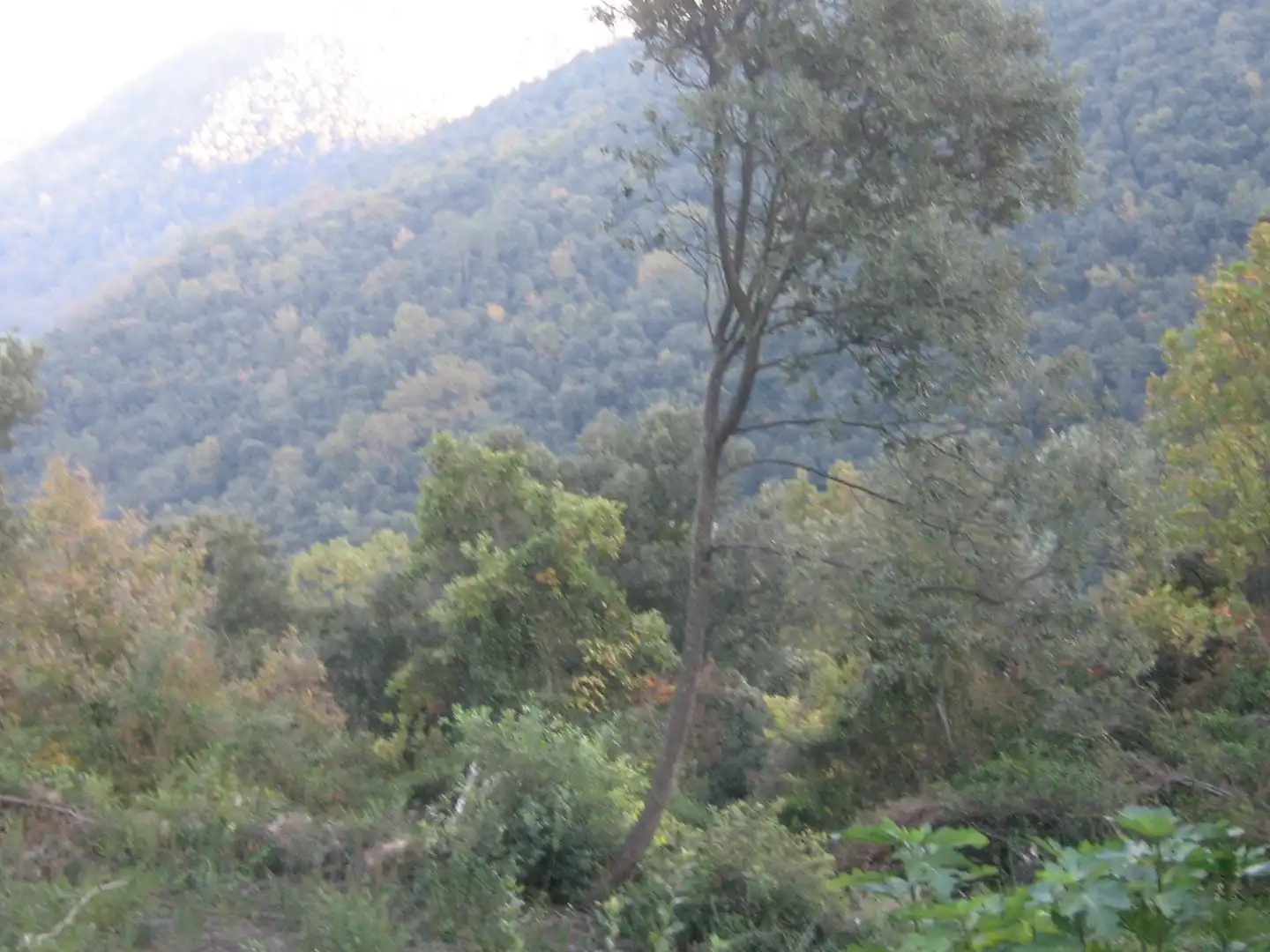 Rural land for sale in Montagut i Oix, imagen 19