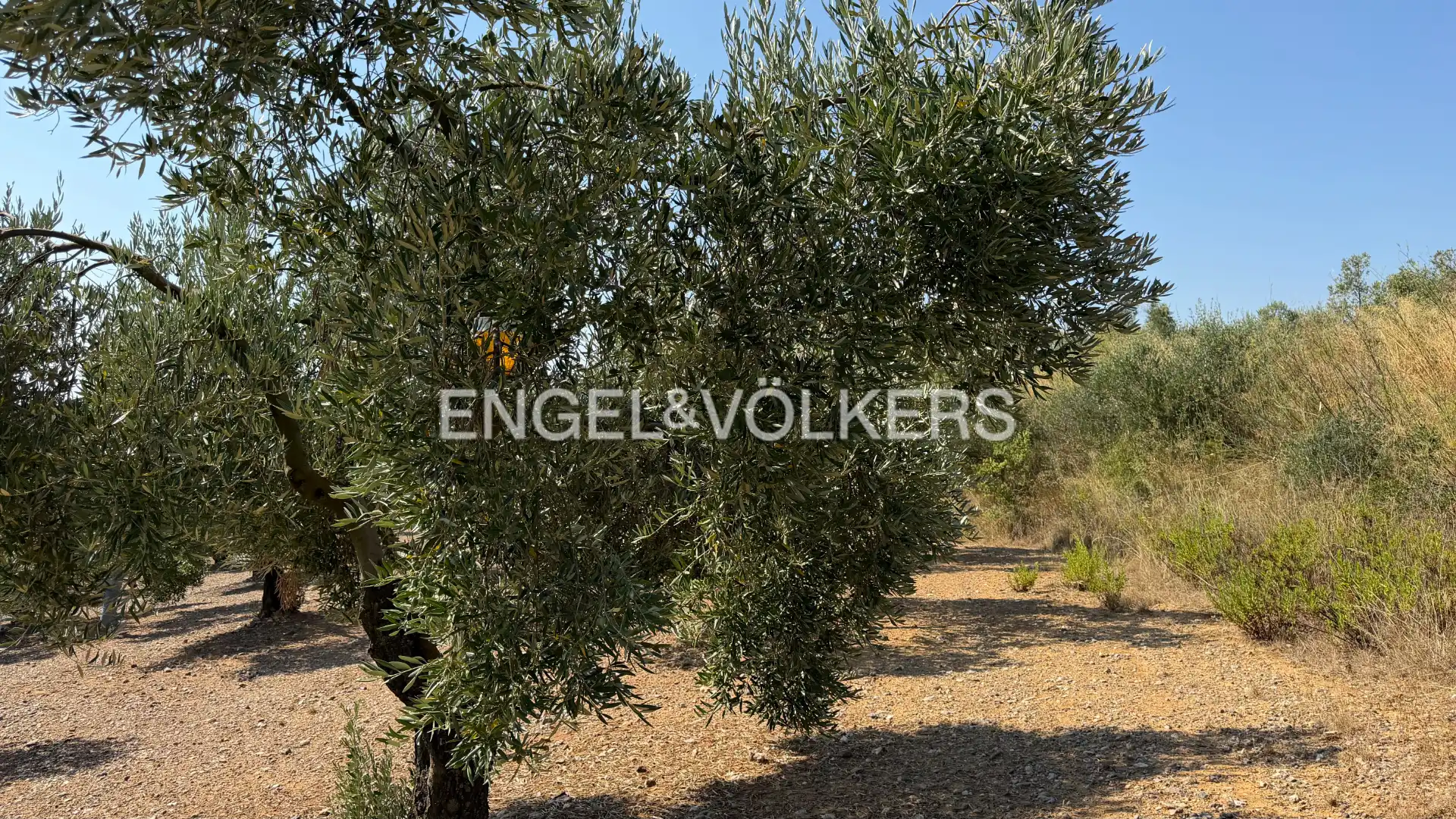 Land for sale in Pedret i Marzà