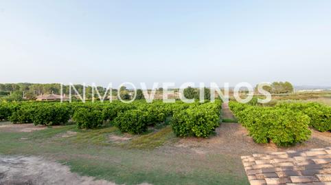 Foto 5 de Finca rústica en venda a Benigànim, Valencia