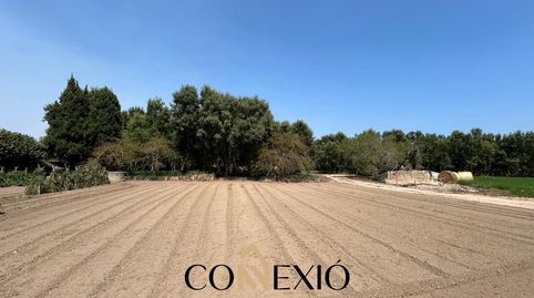Foto 5 de Finca rústica en venda a Molí de Vent - La Sauleda, Palafrugell