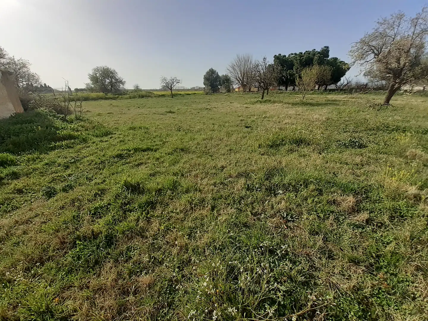 Residential for sale in El Perdigón 