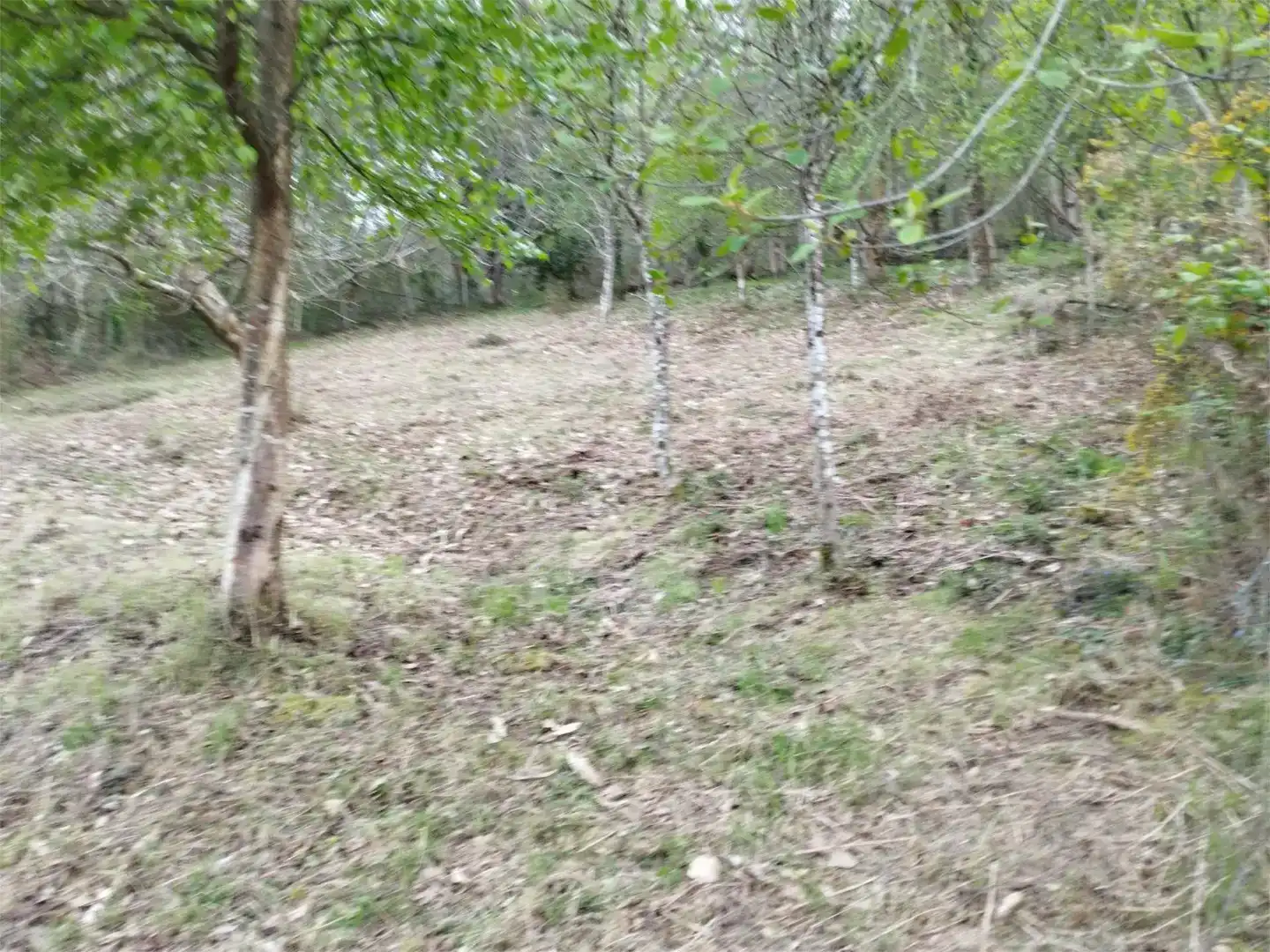 Piso en venta en Cudillero