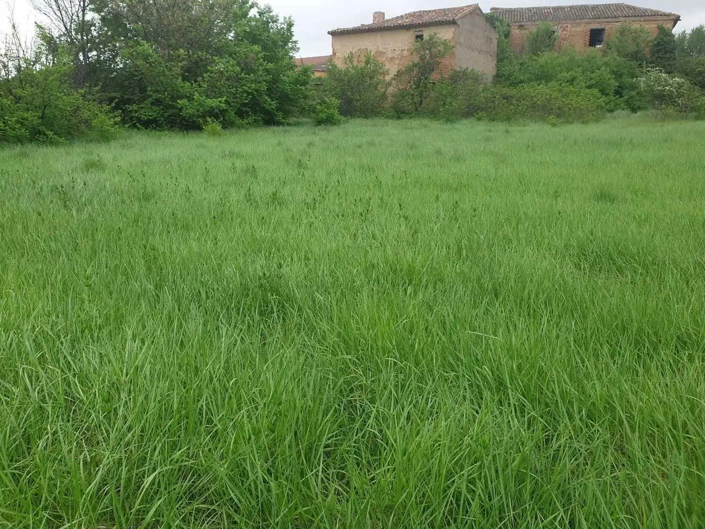 Terreno en venta en Munébrega