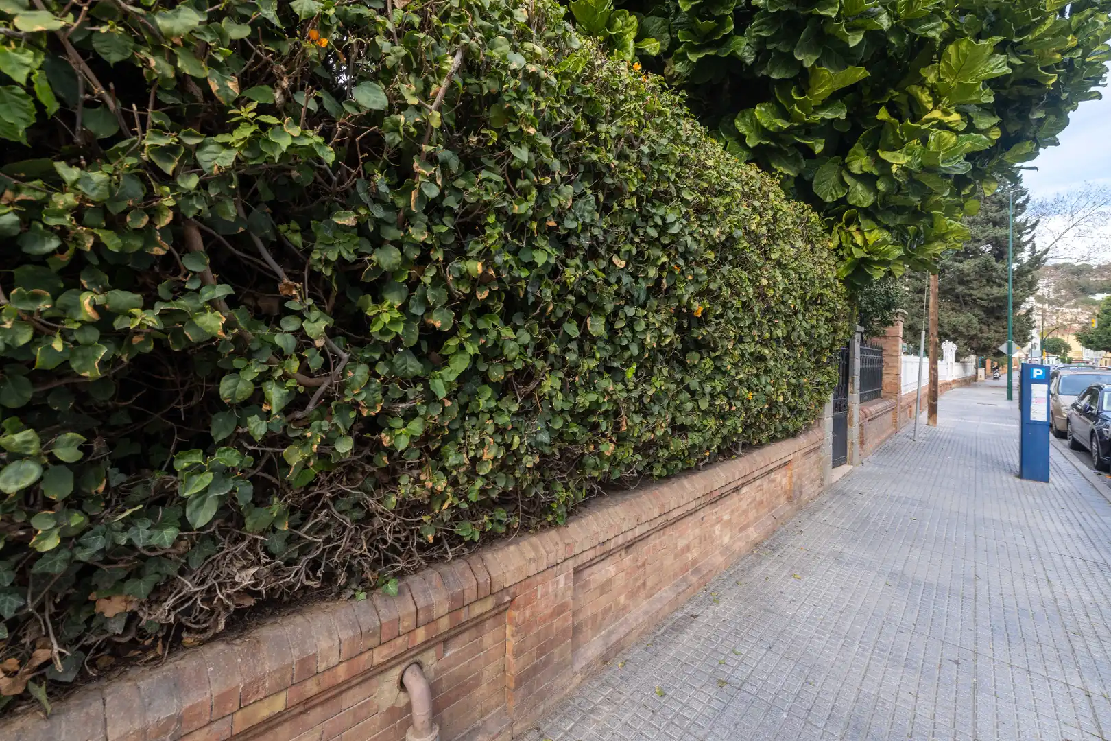 Vista exterior de Local en venda en Málaga