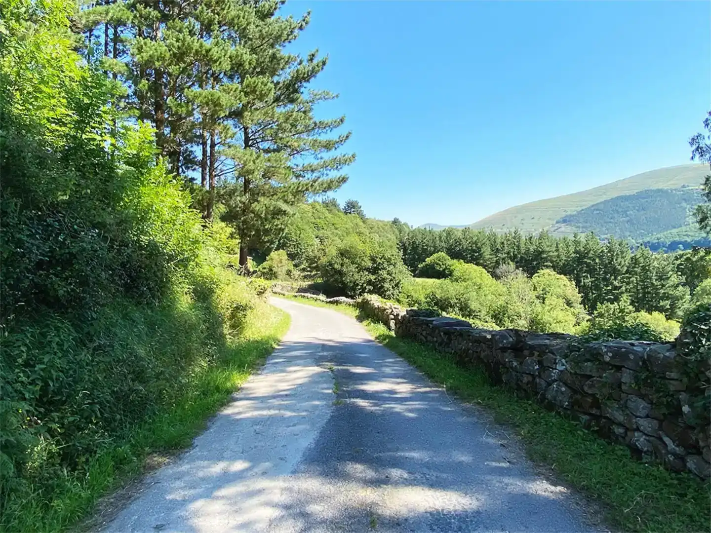 Vista exterior de Casa o chalet de alquiler en Luena , Cantabria