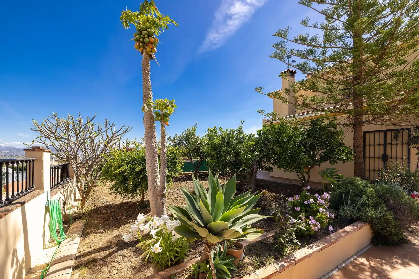 Jardí de Casa o xalet en venda en Alhaurín de la Torre amb Jardí privat, Terrassa i Piscina