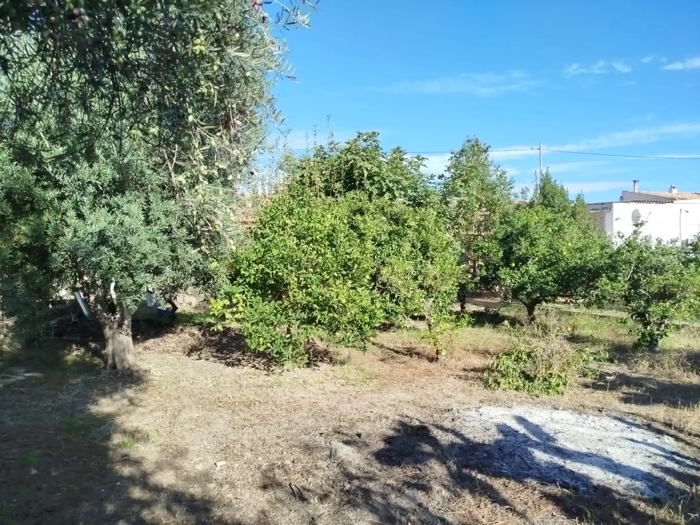 Country homes for sale in Murcia