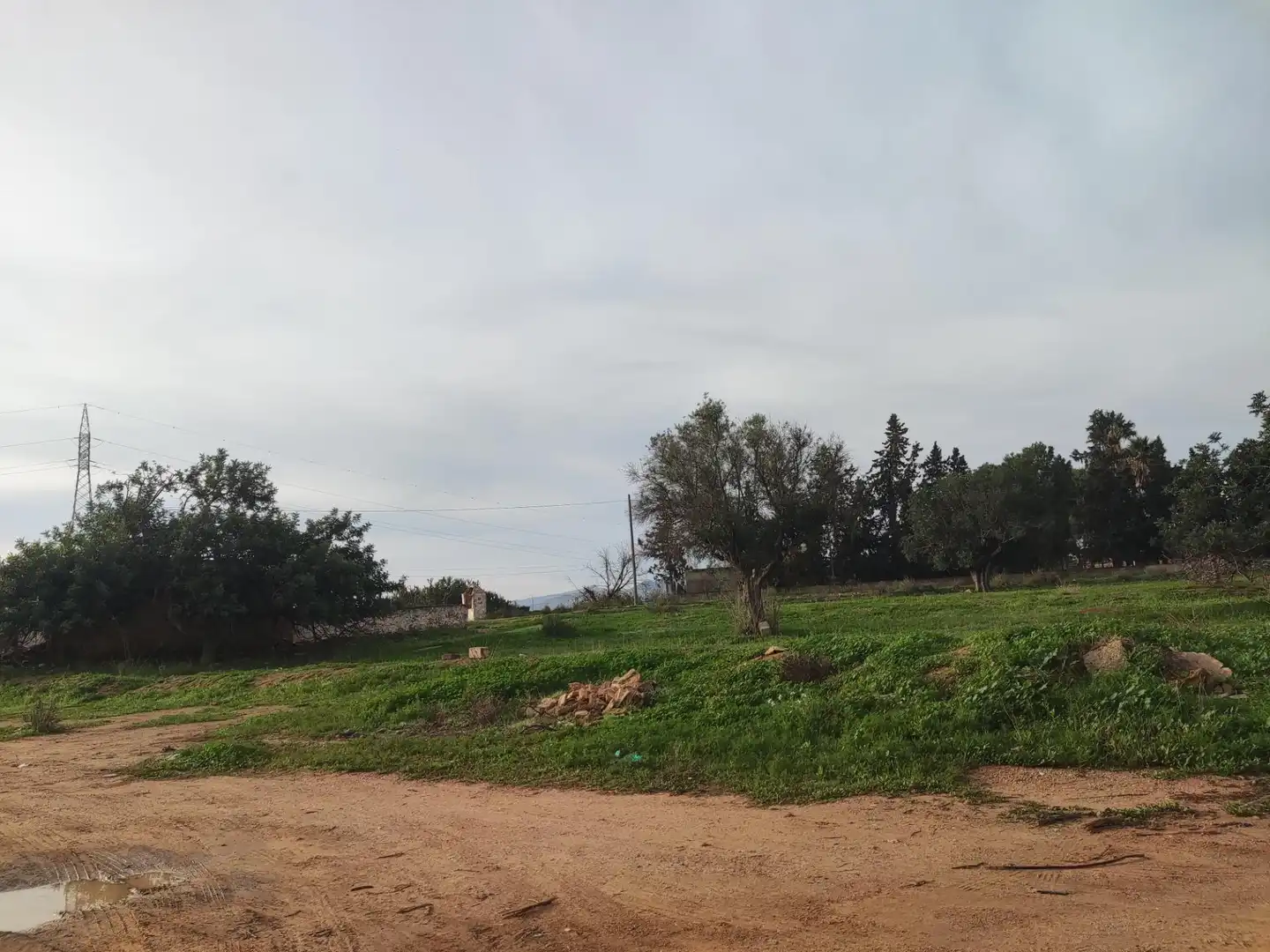 Finca rústica en venda en Cartagena