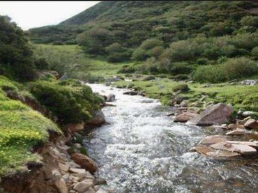 Terreny rústic en venda a Área Rural-Valverde-Las Casas