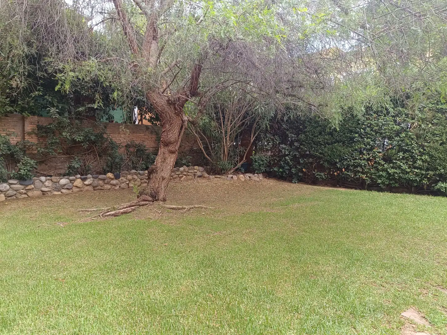 Flat for rent in Carrer Pau Casals, Finestrelles