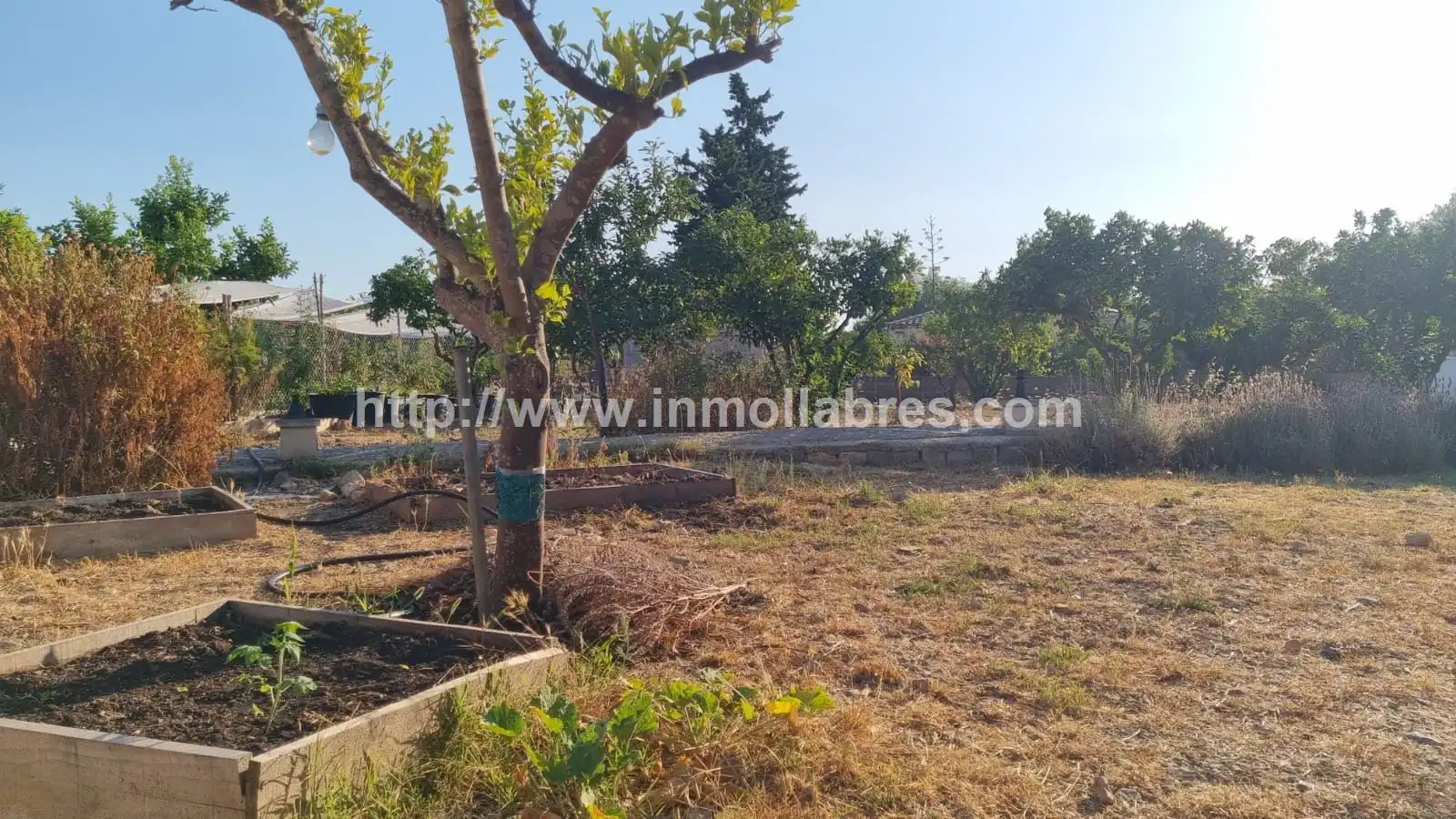 Maison rustique avec piscine à vendre à Selva, imagen 19