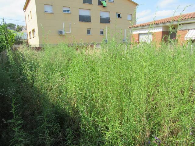 Terreno residencial en Venta en Riells i Viabrea