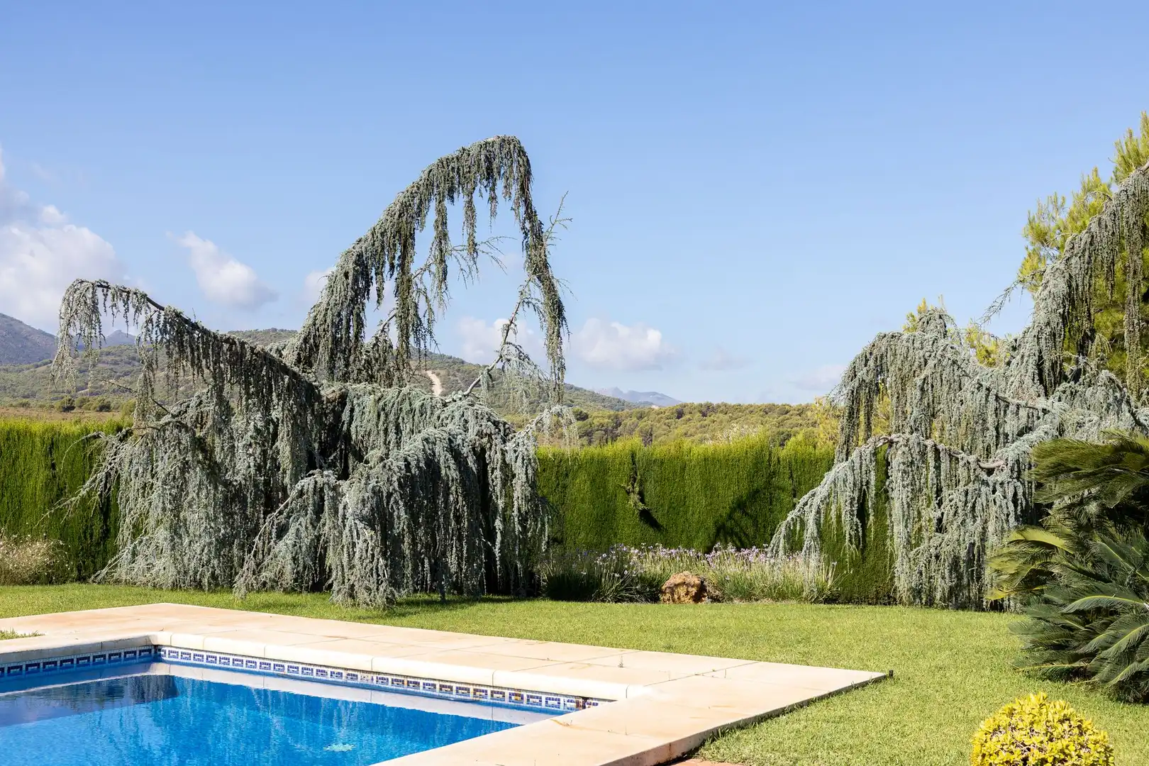 Casa rústica en venda a Coín, imagen 15