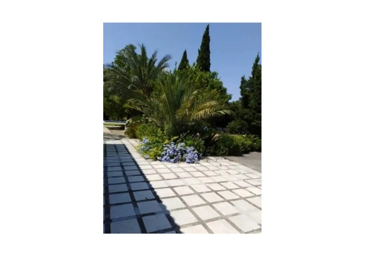 Jardí de Casa o xalet en venda en Lucena amb Jardí privat, Terrassa i Piscina